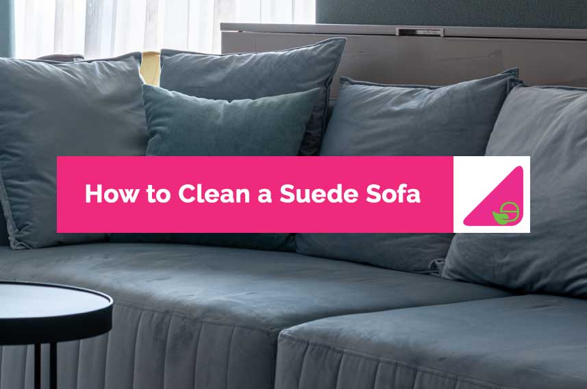 How to Clean a Suede Sofa
